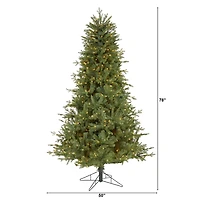 6.5ft. Pre-Lit New Hampshire Spruce Artificial Christmas Tree, Warm White LED Lights
