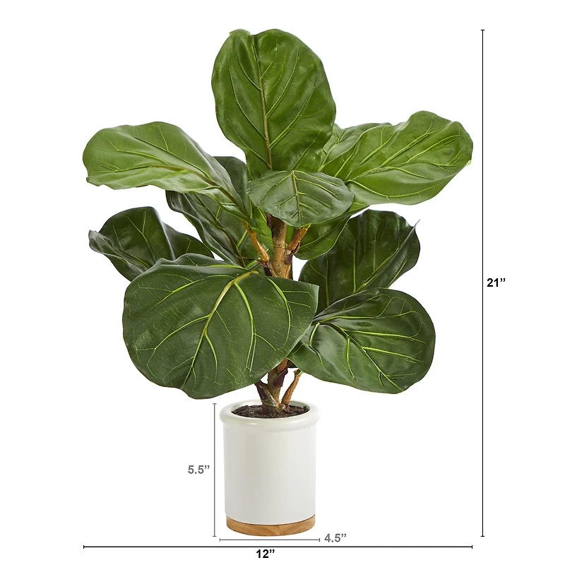 21" Fiddle Leaf Tree in White Ceramic Planter