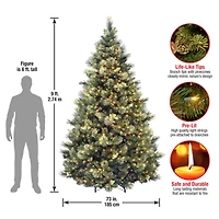 9ft. Pre-Lit Carolina Pine Artificial Christmas Tree, Clear Lights
