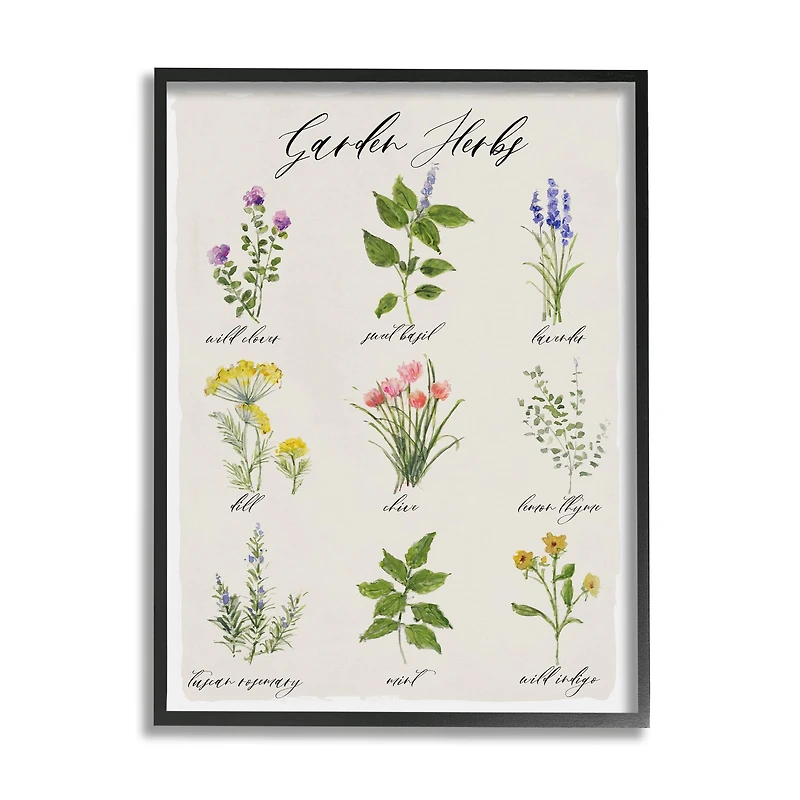 Stupell Industries Garden Herb Illustrated Chart Natural Kitchen Seasoning Framed Wall Art