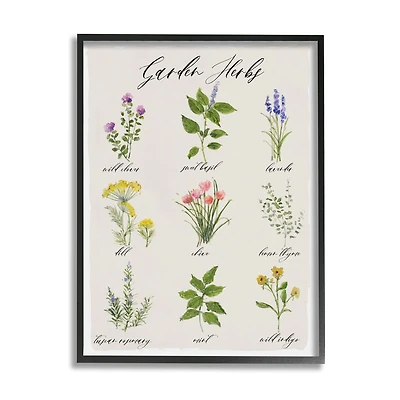 Stupell Industries Garden Herb Illustrated Chart Natural Kitchen Seasoning Framed Wall Art