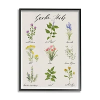 Stupell Industries Garden Herb Illustrated Chart Natural Kitchen Seasoning Framed Wall Art