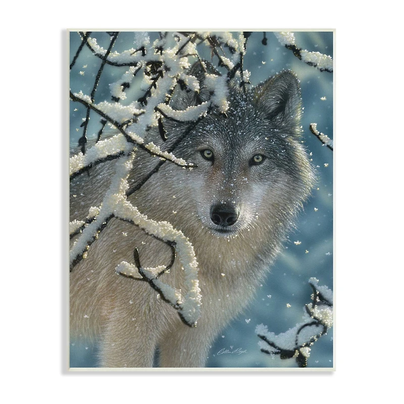 Stupell Industries Wolf Behind Snowy Branches Winter Wild Forest Animal Wall Plaque