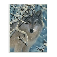 Stupell Industries Wolf Behind Snowy Branches Winter Wild Forest Animal Wall Plaque