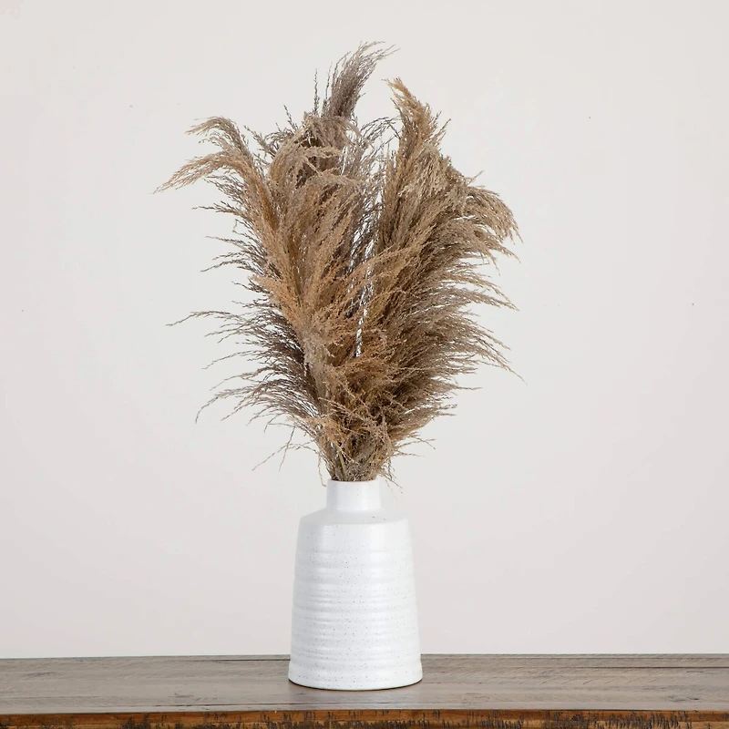 2.5ft. Dried Natural Pampas Arrangement in Ceramic Vase