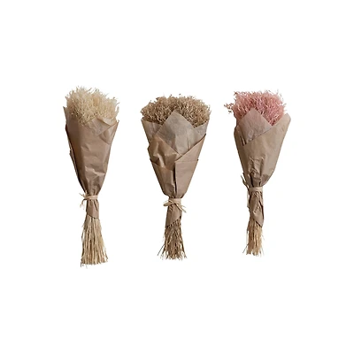 Hello Honey® 19.5" Dried Natural Powderpuff Grass Bunch, 3ct.