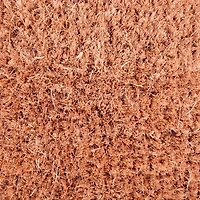 DII® Aloe There Doormat