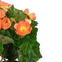 11" Potted Silk Begonia Floral Arrangement