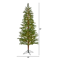7.5ft. Pre-Lit Fairbanks Fir Artificial Christmas Tree, Clear LED Lights