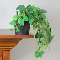 8" Decorative Green Vine Foliage in Brown Pot
