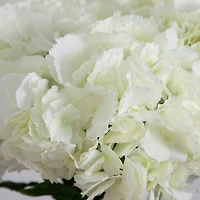 20" White Artificial Hydrangea Arrangement in Glass Vase