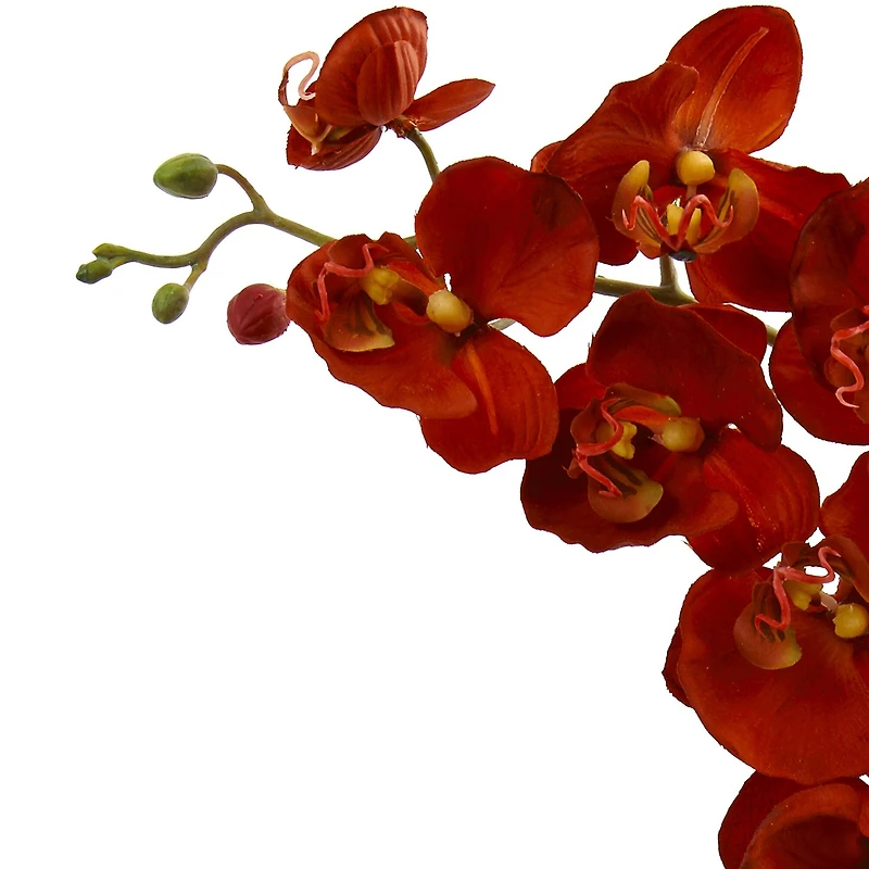 20" Rust Orchid & Fern Arrangement with Wood Planter