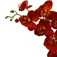 20" Rust Orchid & Fern Arrangement with Wood Planter