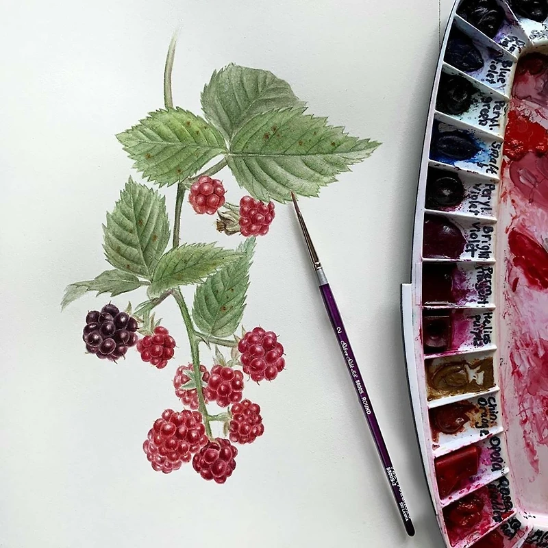 Silver Brush Limited Silver Silk 88® 5 Piece Round Brush Set