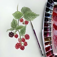 Silver Brush Limited Silver Silk 88® 5 Piece Round Brush Set