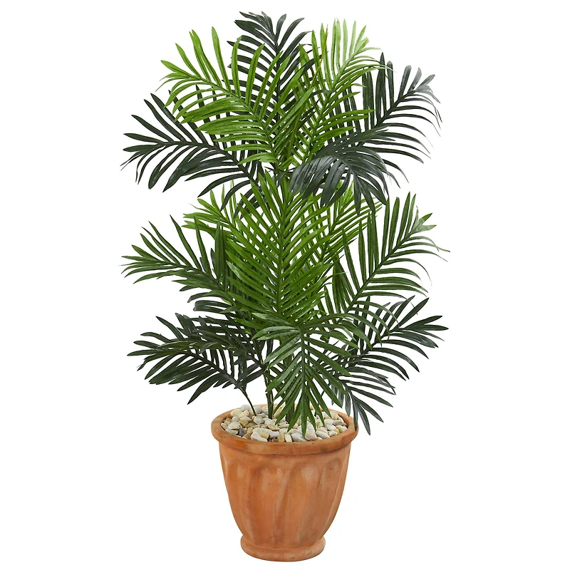 3.5ft. Paradise Palm Tree in Terra Cotta Planter