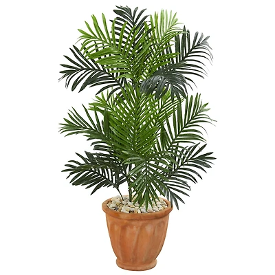 3.5ft. Paradise Palm Tree in Terra Cotta Planter