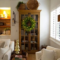 24in. Pre-Lit Artificial Real Touch Norfolk Island Pine Wreath with 50 Warm White LED Lights and Natural Look