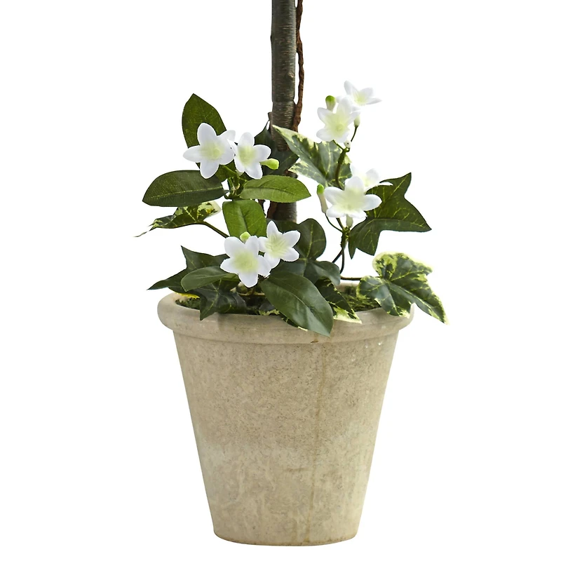 3ft. White Stephanotis Topiary In Planter