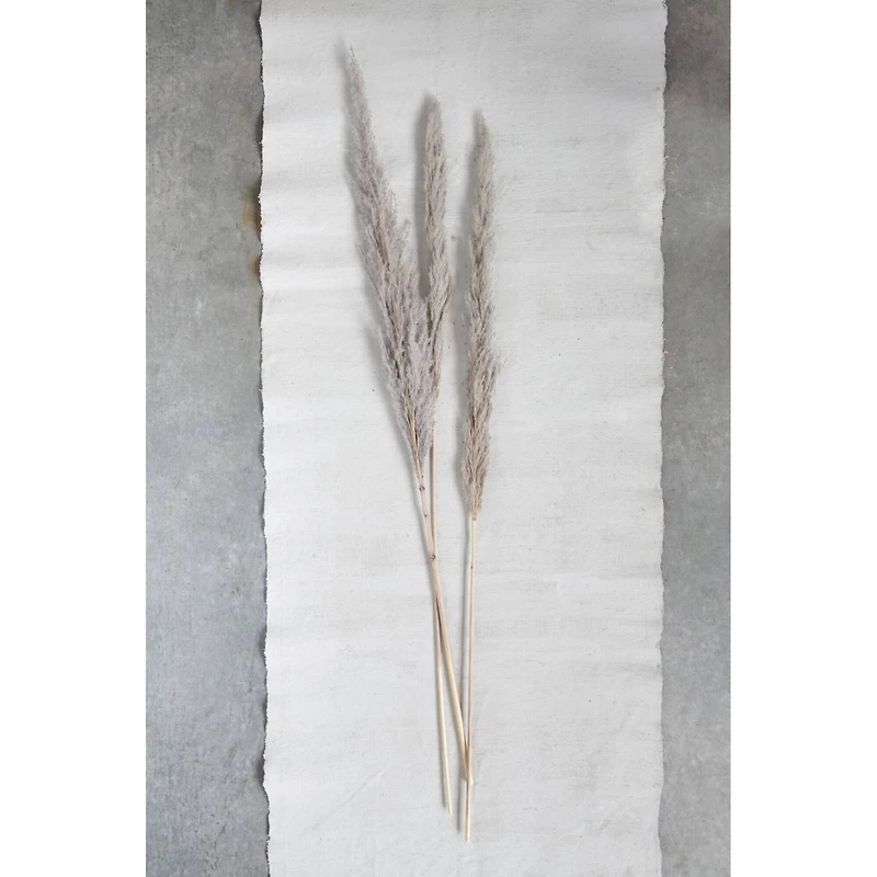 Hello Honey® Dried Natural Pampas Grass Bunch