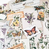 49 and Market Curators Essential Ephemera Pages