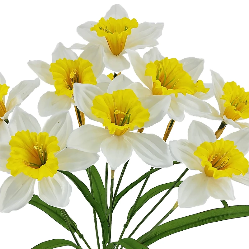 20" Daffodil Bush by Ashland