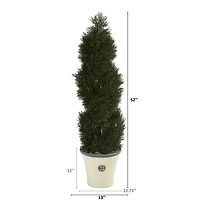 4.5ft. Double Pond Cypress Spiral Topiary Tree in Planter