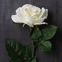 6 Pack: White Rose Stem by Ashland®