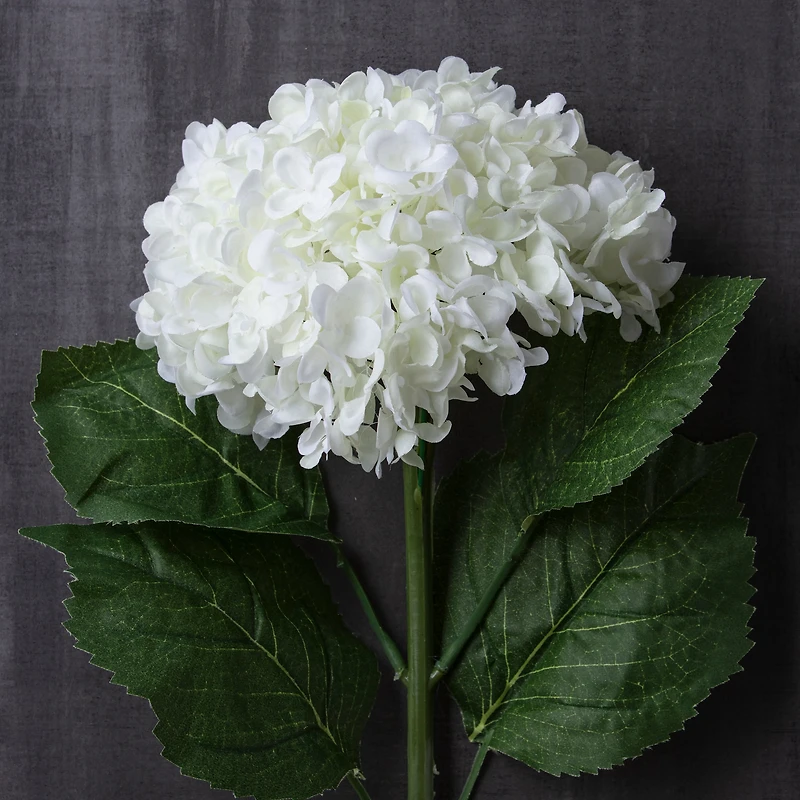 8 Pack: Cream Hydrangea Stem by Ashland®