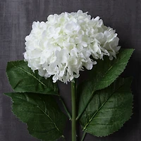 8 Pack: Cream Hydrangea Stem by Ashland®
