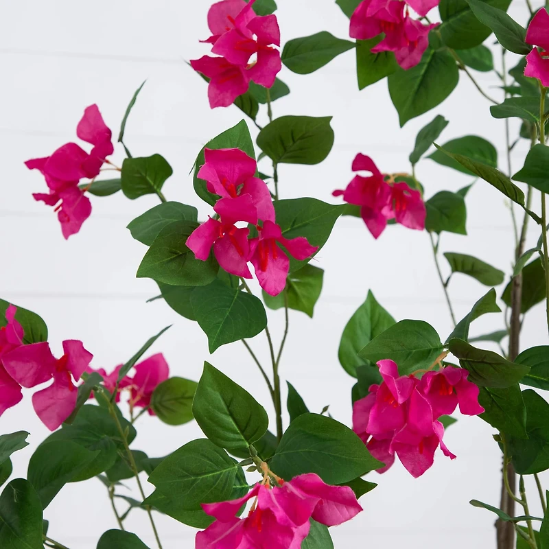 7ft. Potted Pink Minimalist Bougainvillea Tree