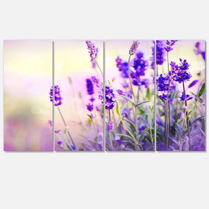 Designart - Purple Lavender Field