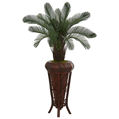4ft. Cycas Tree in Decorative Stand