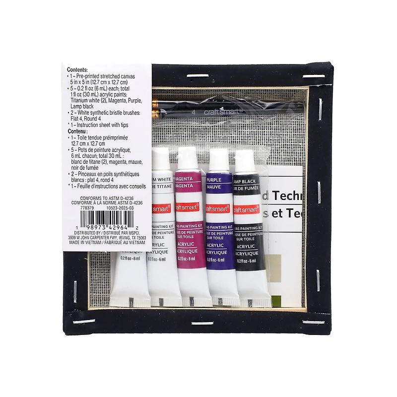 5" x 5" Skull in Web Canvas Painting Kit by Craft Smart®