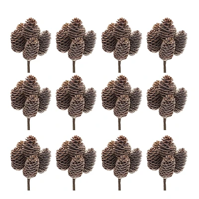 Brown Pinecone Stem Bundle, 12ct.