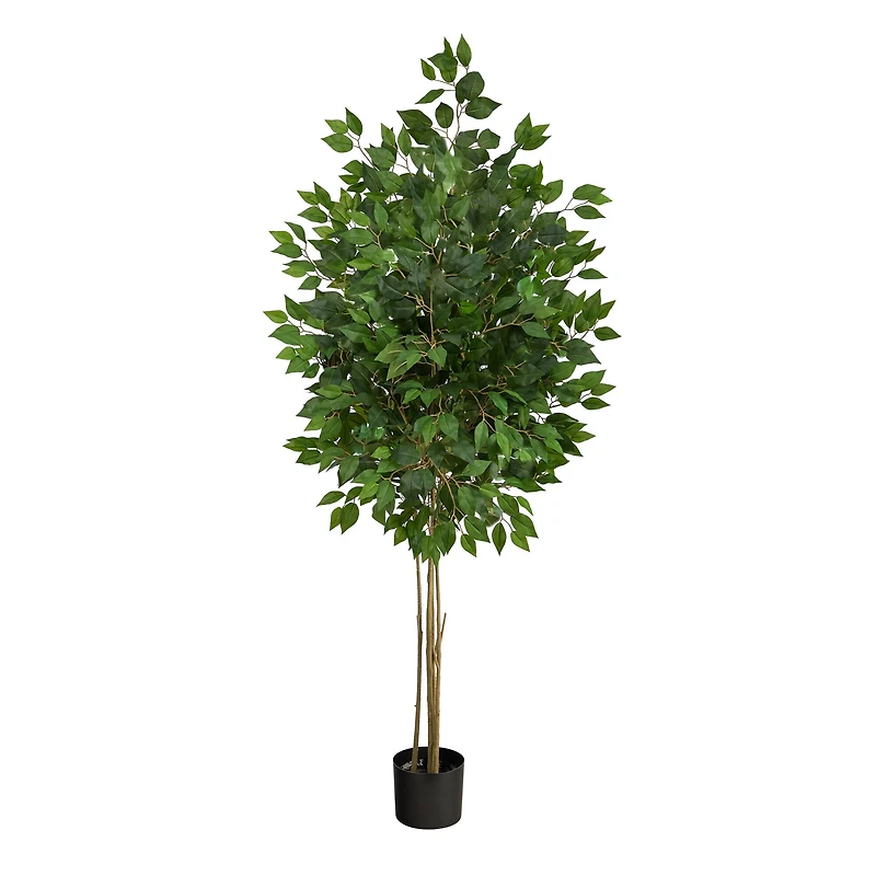 5.5ft. Potted UV Resistant Ficus Tree
