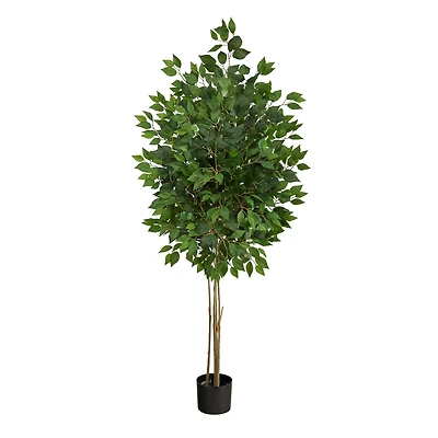5.5ft. Potted UV Resistant Ficus Tree