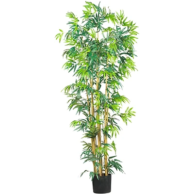 6ft. Potted Bambusa Bamboo Silk Tree