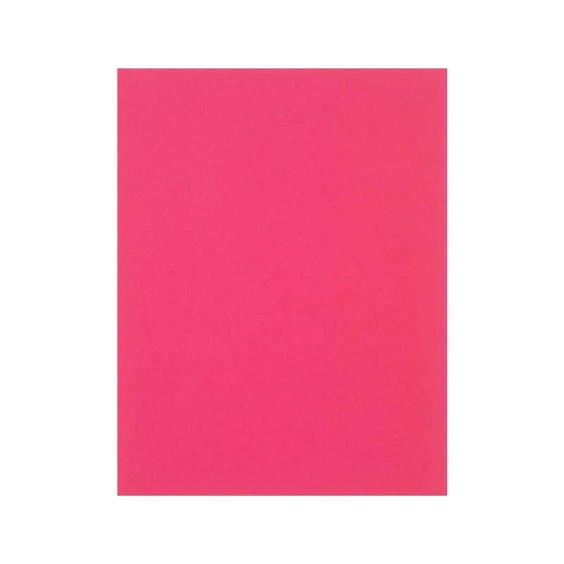 12 Packs: 50 ct. (600 total) Flamingo 8.5" x 11" Cardstock Paper by Recollections™