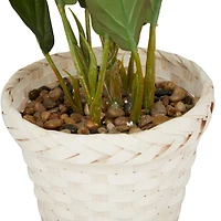 2ft. Coastal Style Artificial Foliage in White Bamboo Pot