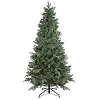 6.5ft. Pre-Lit Granville Fraser Fir Slim Artificial Christmas Tree, Clear Lights