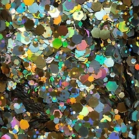 Holographic Gold & Silver Specialty Polyester Glitter by Recollections™