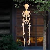 35" Warm White LED Skeleton by Ashland®