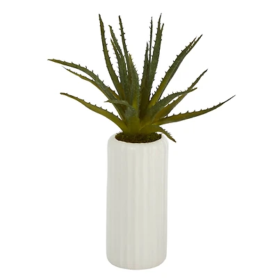 15" Aloe Plant in Decorative White Planter
