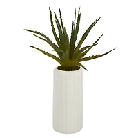 15" Aloe Plant in Decorative White Planter