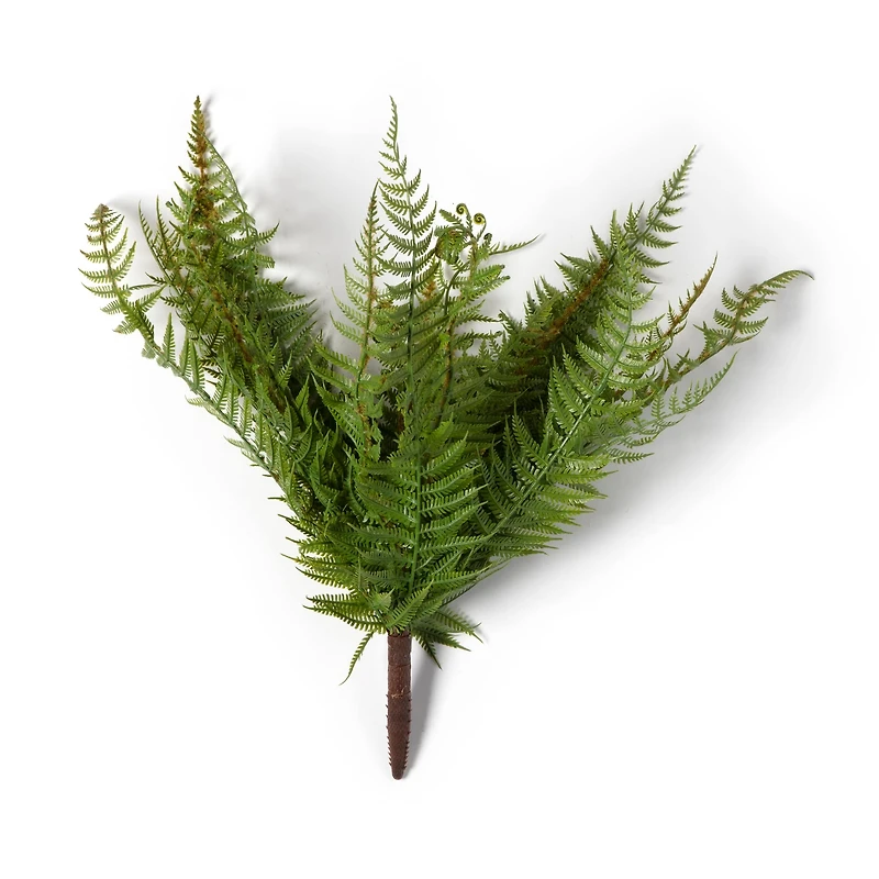 8 Pack: Green Boston Fern Bush by Ashland®
