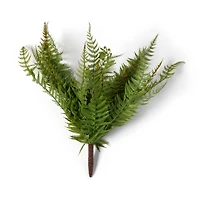 8 Pack: Green Boston Fern Bush by Ashland®