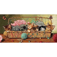 Dimensions® Gold Collection Kitty Litter Counted Cross Stitch Kit