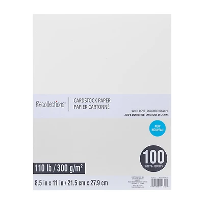 6 Packs: 100 ct. (600 total) White Dove 8.5" x 11" Cardstock Paper by Recollections™