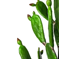 7ft. Potted Green Cactus